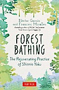 Forest Bathing