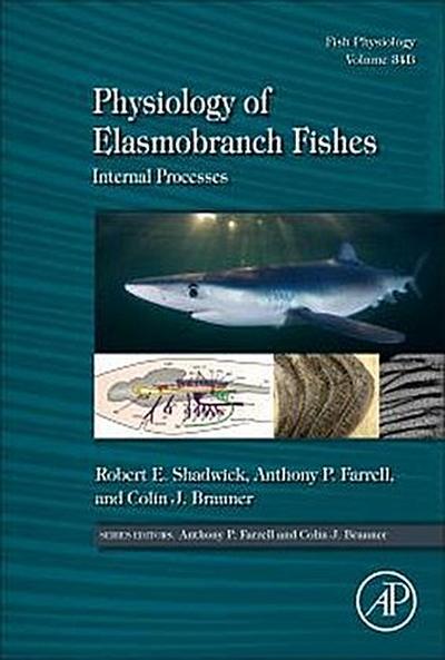 Physiology of Elasmobranch Fishes: Internal Processes. Pt.B