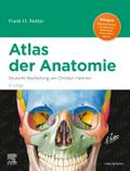 Netter Atlas der Anatomie
