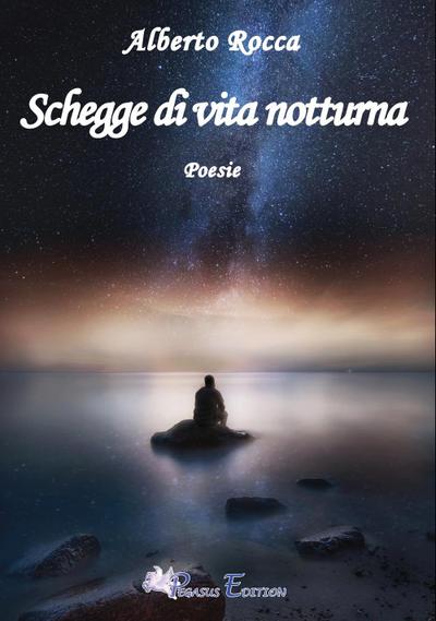 Schegge di vita notturna