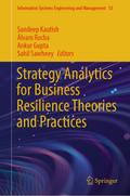Strategy Analytics for Business Resilience Theorie