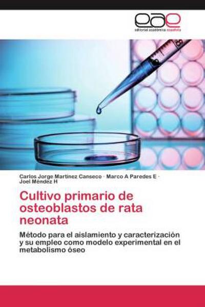 Cultivo primario de osteoblastos de rata neonata