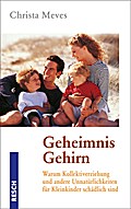 Geheimnis Gehirn
