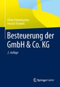 Besteuerung der GmbH & Co.KG