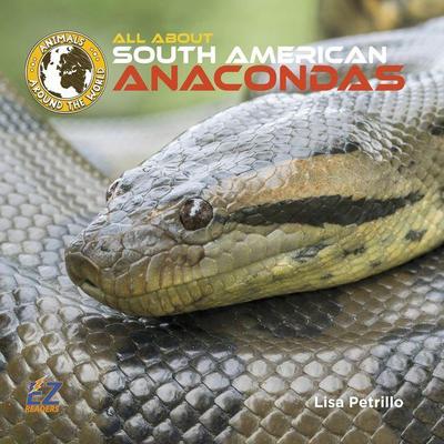 All about South American Anacondas