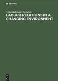 Labour Relations in a Changing Environment