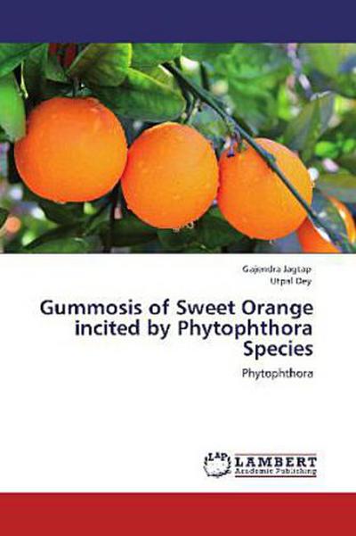 Gummosis of Sweet Orange incited by Phytophthora Species