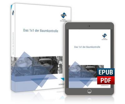 Das 1x1 der Baumkontrolle / Kombi-Ausgabe