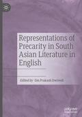 Representations of Precarity in South Asian Literature in English