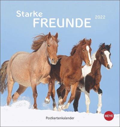 Starke Freunde (Pferde) Postkartenkalender 2022