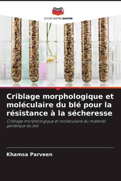 Criblage morphologique et moléculaire du blé pour la résistance à la sécheresse