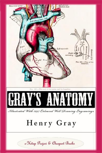 Gray’s Anatomy (Illustrated With 1247 Coloured Well Drawing Engrawings)