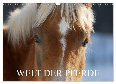 Welt der Pferde (Wandkalender 2024 DIN A3 quer), CALVENDO Monatskalender