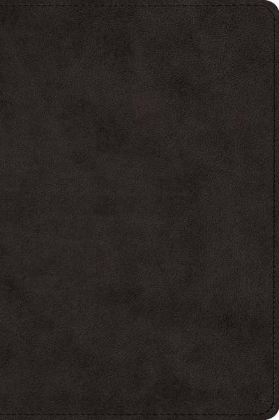 ESV Large Print Bible