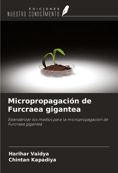 Micropropagación de Furcraea gigantea