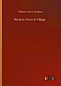 Birds in Town & Village