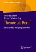 Theorie als Beruf