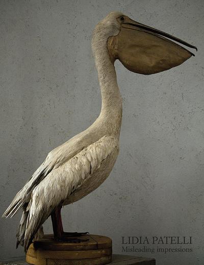 Galansino, A: Lidia Patelli. Misleading impressions