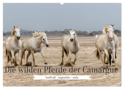 Die wilden Pferde der Camargue (Wandkalender 2026 DIN A2 quer), CALVENDO Monatskalender