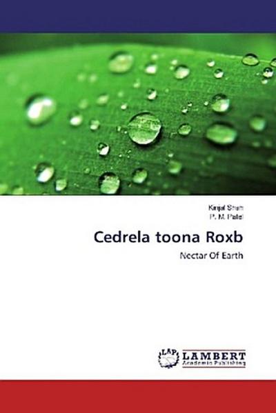 Cedrela toona Roxb