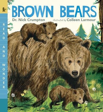 Brown Bears