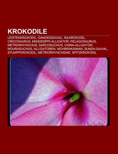 Krokodile