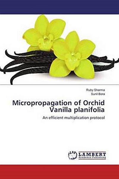 Micropropagation of Orchid Vanilla planifolia