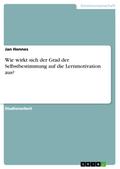Wie wirkt sich der Grad der Selbstbestimmung auf die Lernmotivation aus?