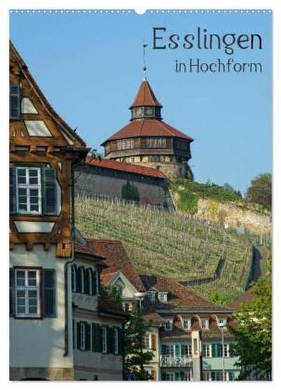 Esslingen in Hochform (Wandkalender 2026 DIN A2 hoch), CALVENDO Monatskalender