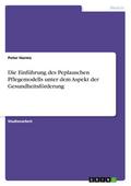 Die Einführung des Peplauschen Pflegemodells unter