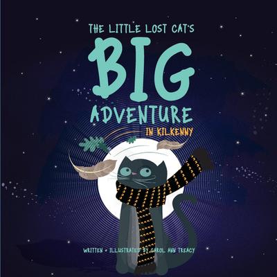 The Little Lost Cat’s Big Adventure in Kilkenny