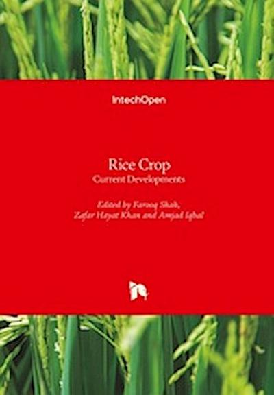 Rice Crop