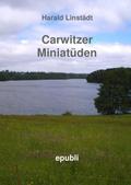 Carwitzer Miniatüden