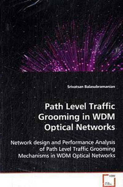 Path Level Traffic Grooming in WDM Optical Networks