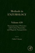 Nanoarmoring of Enzymes with Carbon Nanotubes and Magnetic Nanoparticles