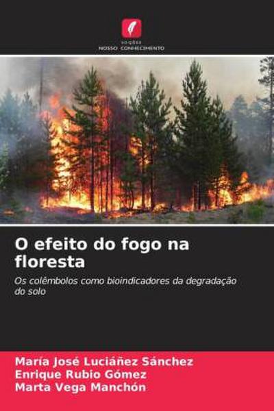 O efeito do fogo na floresta