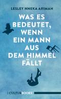 Was es bedeutet, wenn ein Mann aus dem Himmel fäll