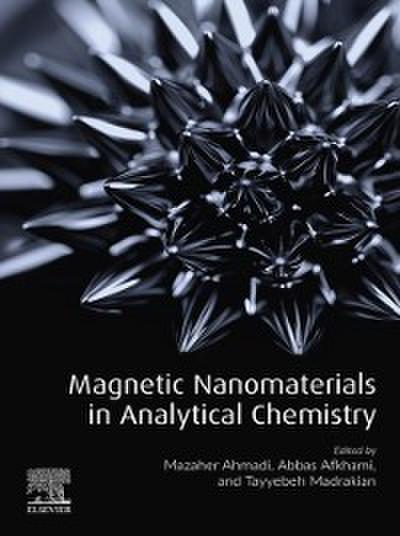 Magnetic Nanomaterials in Analytical Chemistry