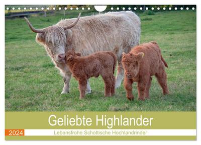 Geliebte Highlander (Wandkalender 2024 DIN A4 quer), CALVENDO Monatskalender