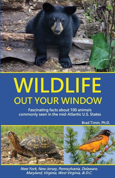 Wildlife Out Your Window