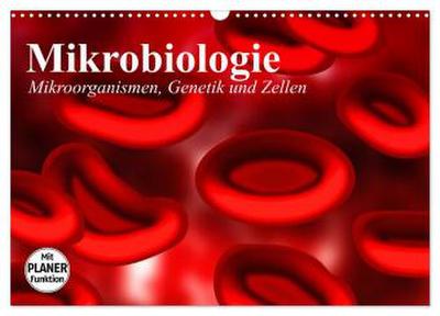 Mikrobiologie. Mikroorganismen, Genetik und Zellen (Wandkalender 2026 DIN A3 quer), CALVENDO Monatskalender