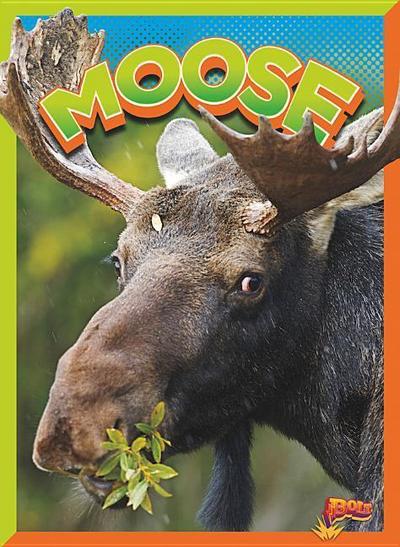 Moose