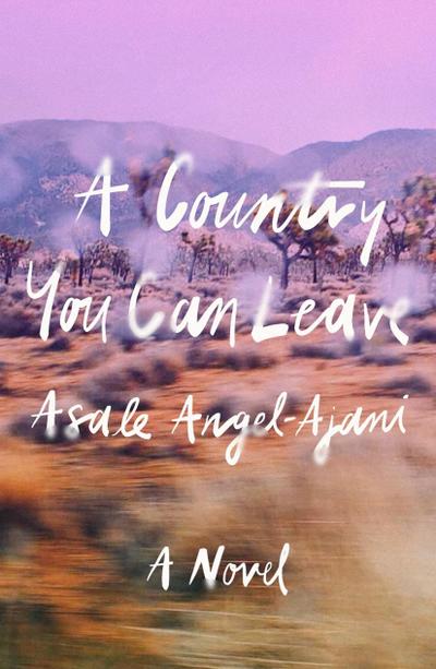 A Country You Can Leave