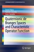 Quaternionic de Branges Spaces and Characteristic 