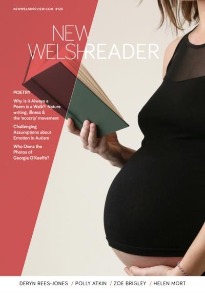 New Welsh Reader : New Welsh Review (summer 2019)