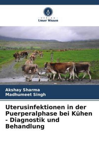 Uterusinfektionen in der Puerperalphase bei Kühen - Diagnostik und Behandlung