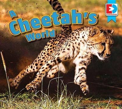A Cheetah’s World