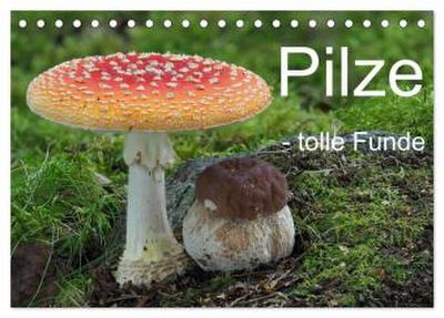 Pilze - tolle Funde (Tischkalender 2026 DIN A5 quer), CALVENDO Monatskalender