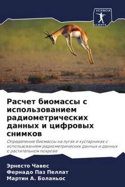Raschet biomassy s ispol’zowaniem radiometricheskih dannyh i cifrowyh snimkow