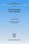 Recht, Rechtsleben und Gesellschaft.: Aus dem Nachlaß herausgegeben von Manfred Rehbinder. (Schriftenreihe zur Rechtssoziologie und Rechtstatsachenforschung)